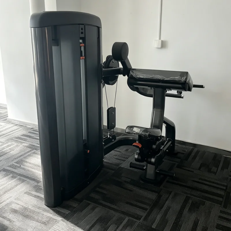 2026 Commercial Selectorized Bicep Tricep Machine Professional Arm Strength Trainer Seated Dual Function Fitness Equipmentpromot