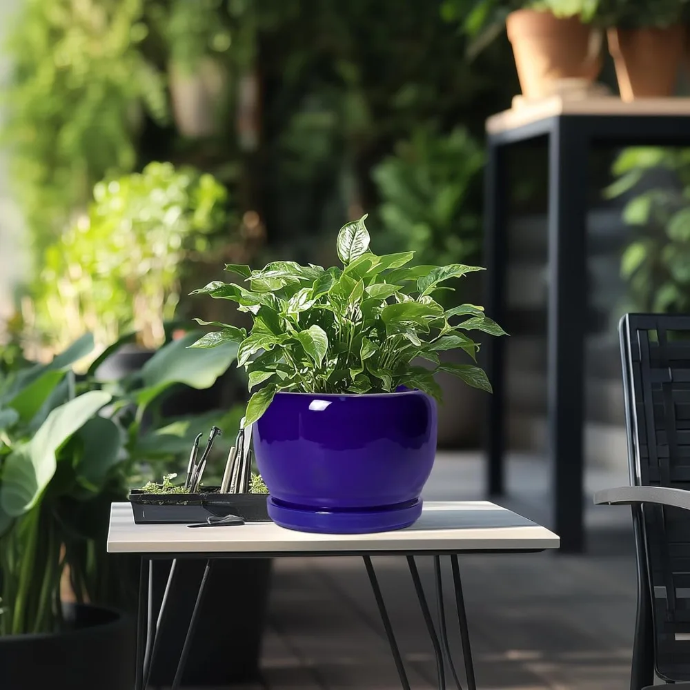وعاء نبات سيراميك مقاس 8 بوصة مع فتحة تصريف وصحون، زارع دائري حديث للنباتات الداخلية والخارجية، هدية ديكور أزرق