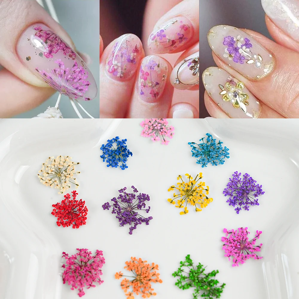 12 Color 3D Dried Flower Nail Art Accessories Babysbreath Floral Petals Natural Exquisite Flower Nail Decals Decoration Material