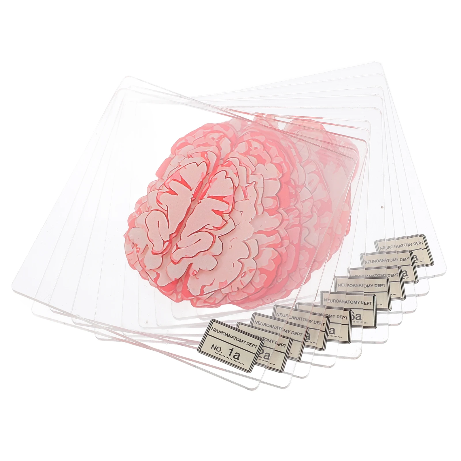

10 Pcs Acrylic Coasters Table Mats Halloween Blood Splatter Floral Brain Slice Easy Clean Kitchen Hot Pads Tea