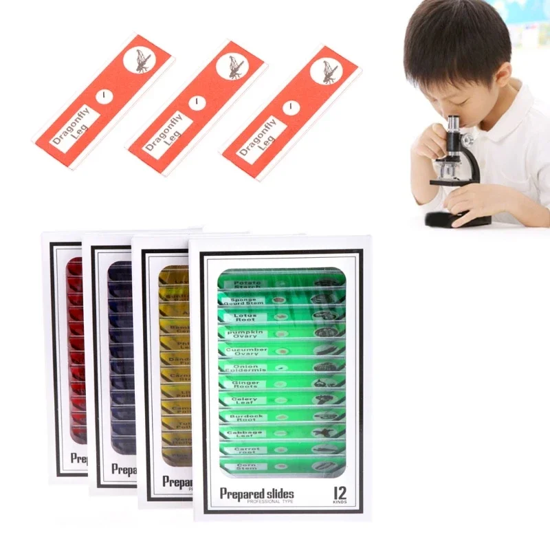 48 Loại Kính hiển được chuẩn bị bằng nhựa Các slide của động vật Hoa Thực vật Mẫu vật Kính hiển sinh họcPart