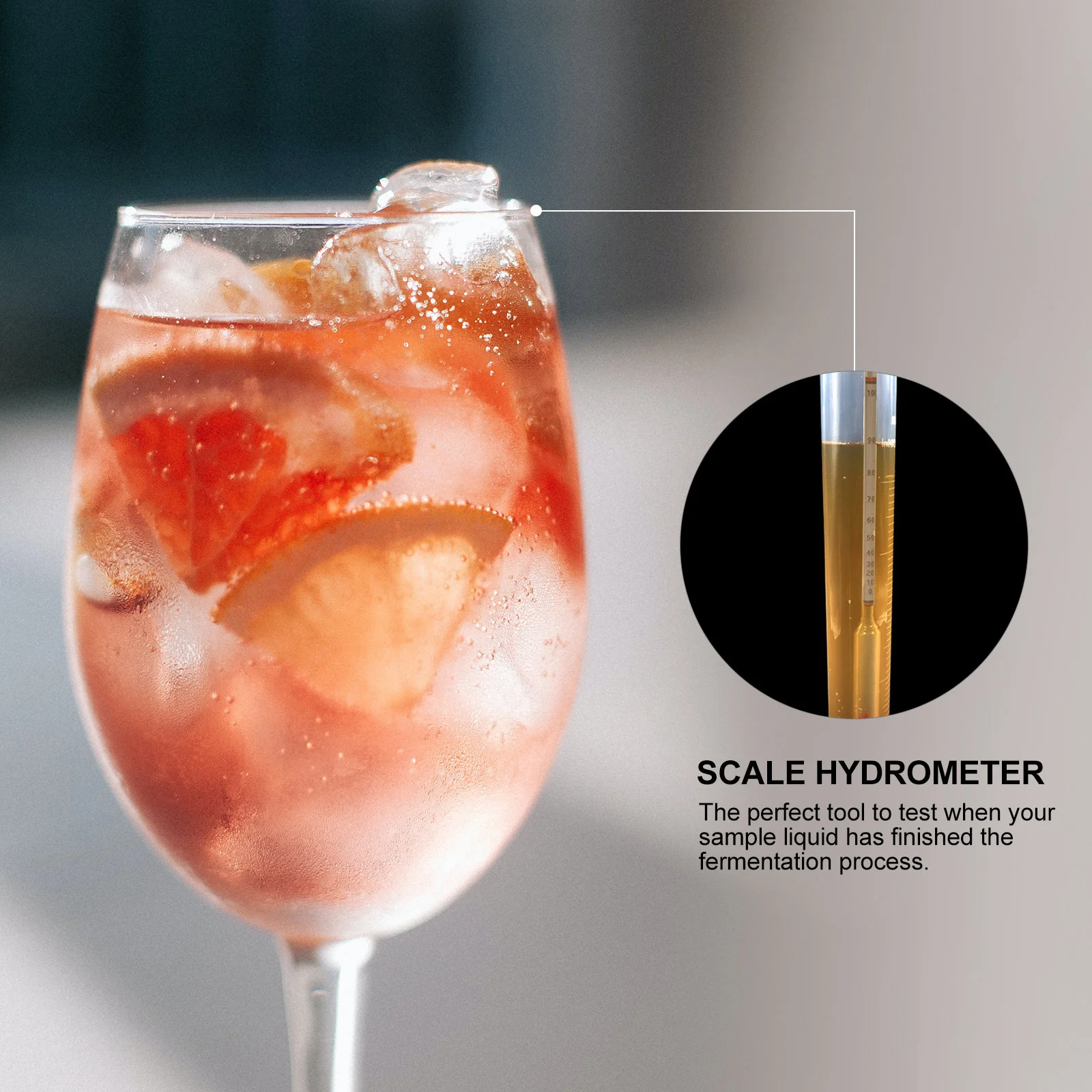 

1Set Alcohol Hydrometer Scale Hydrometer Plastic Test Jar for Brewing Wine Beer Home Specific Gravity Measurement Tool