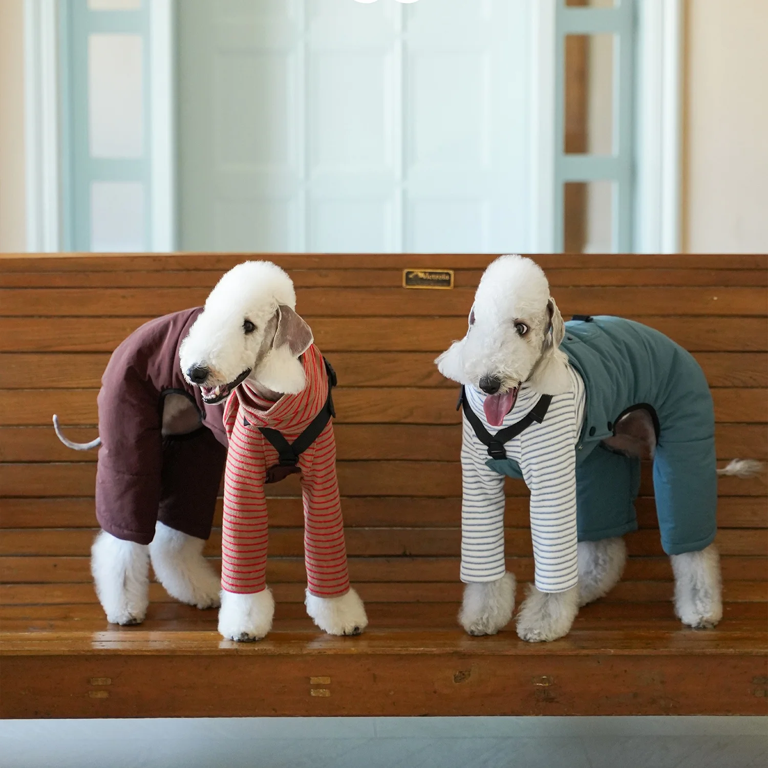 

Thick Warm Cotton Cargo Overalls for Bedlington Autumn Winter Long Sleeves White Red Striped T-shirt Soft Pant Suit for Whippet