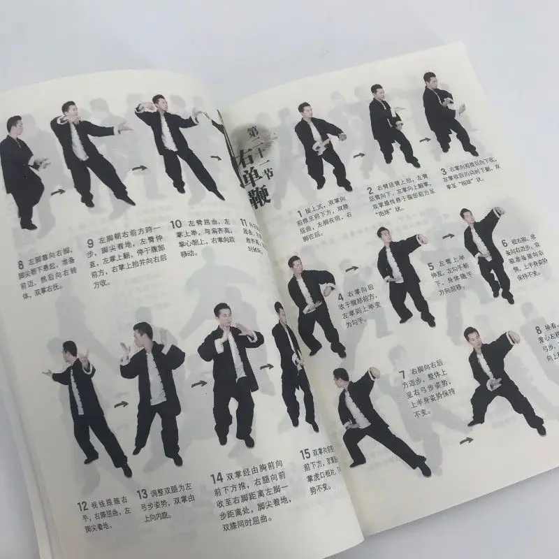 Taijiquan routines illustrating Chen's 56 style, Yang's 24 style, Chinese martial arts, fitness books