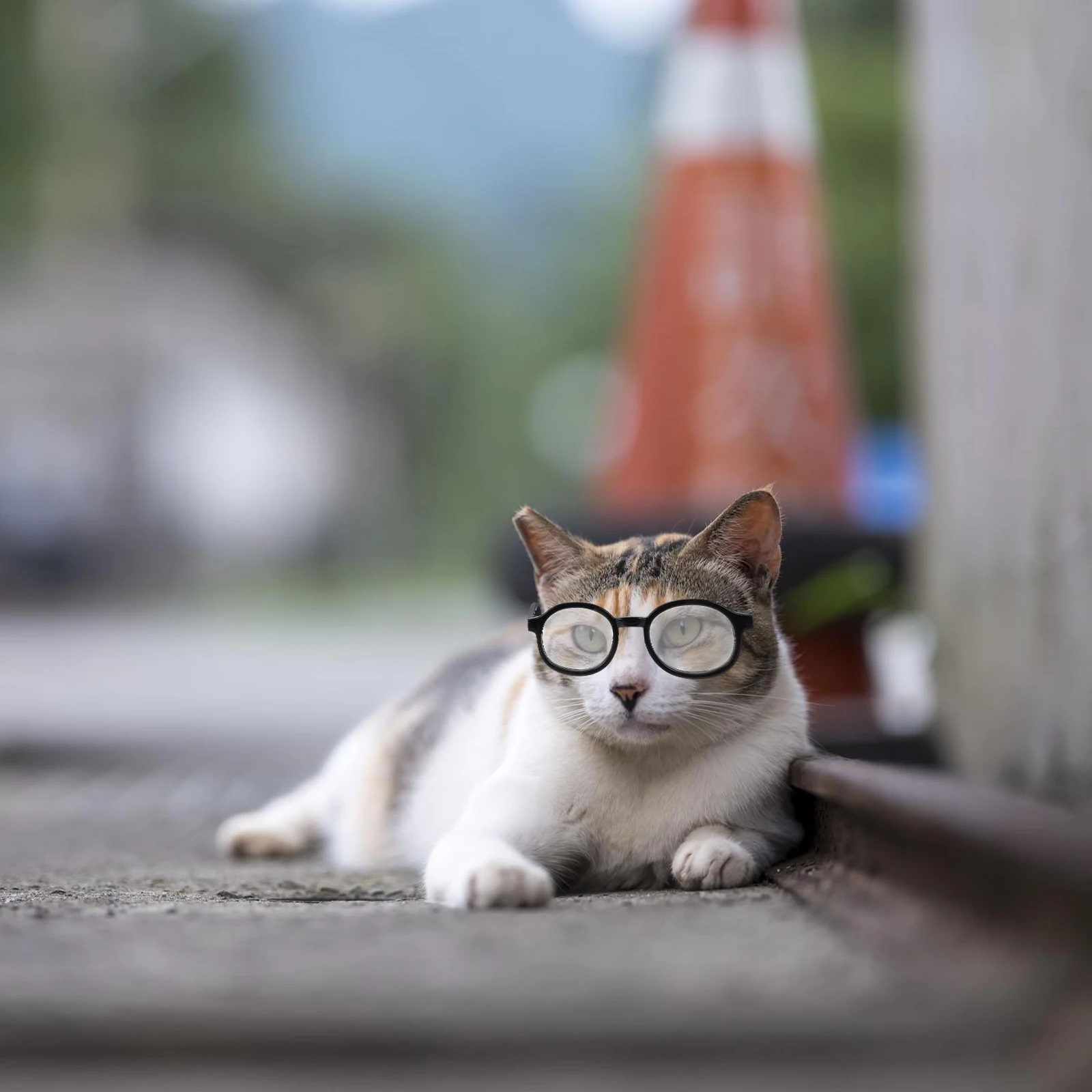 

2 Pcs Pet Glasses Dogs Eyeglasses Small Chihuahua Doggie for Sunglasses Pets The