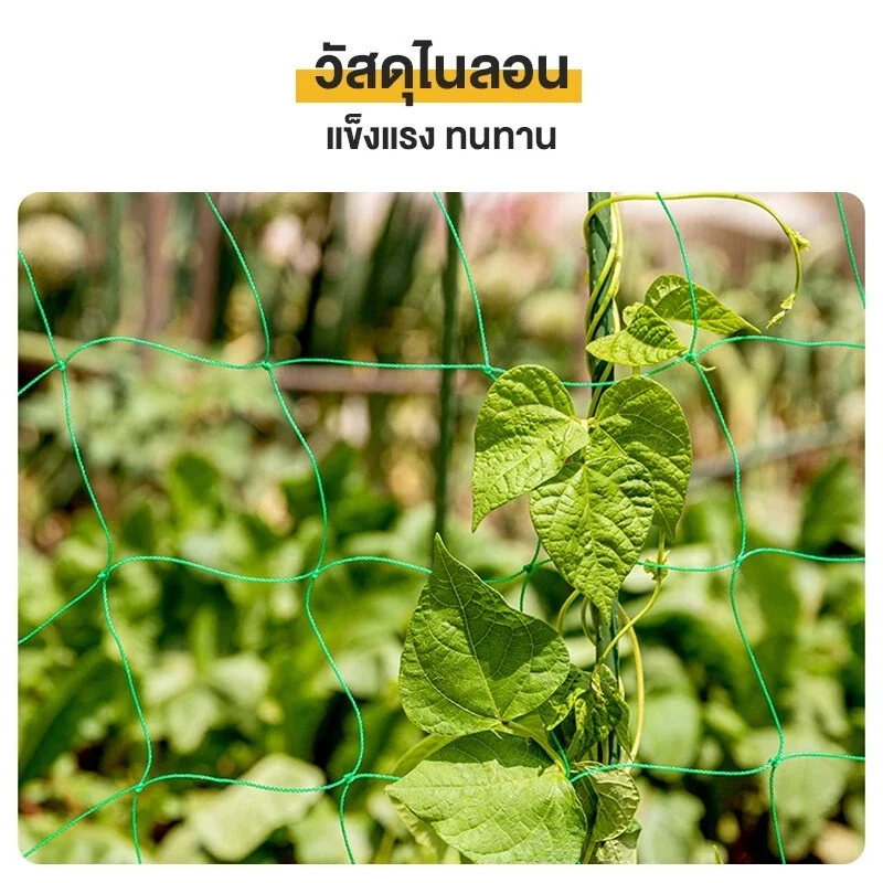 1pc Horticultural Climbing Net Nylon Planting Net Frame For Fruits Beans Cucumbers Pulling Climbing Plants Gardening Accessories