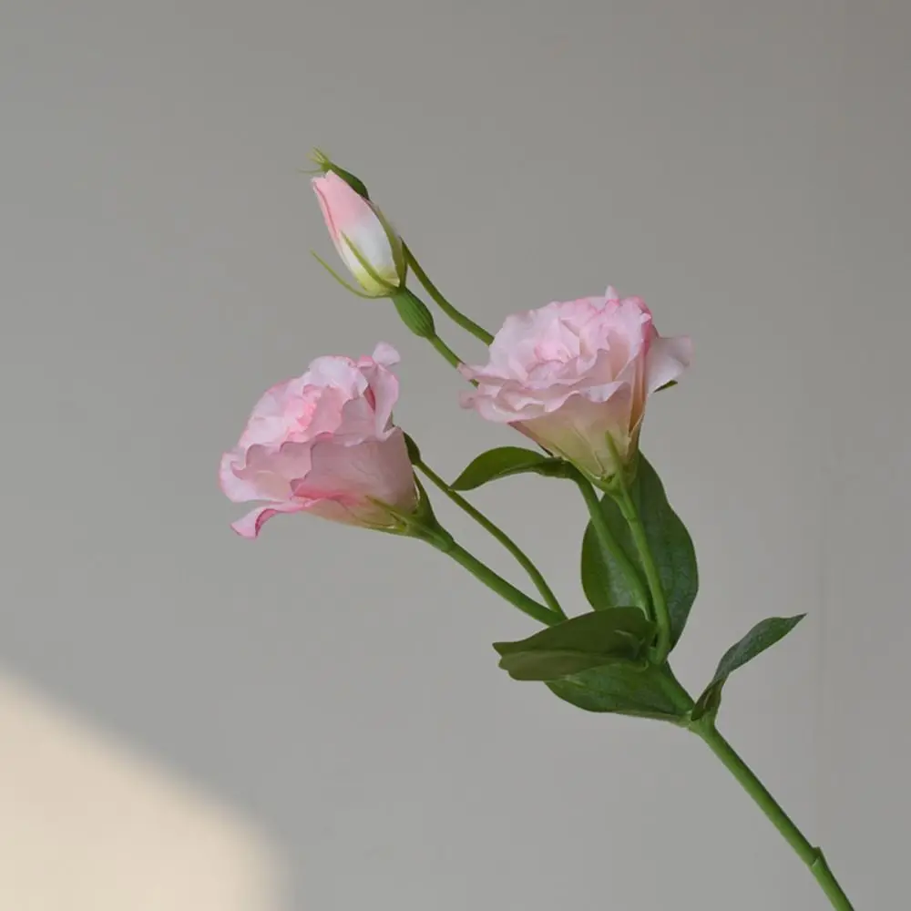 لمسة حقيقية زهور Lisianthus الاصطناعية زهور الحرير نابض بالحياة وهمية زهرة Eustoma لوازم الحفلات باقة الزفاف #3