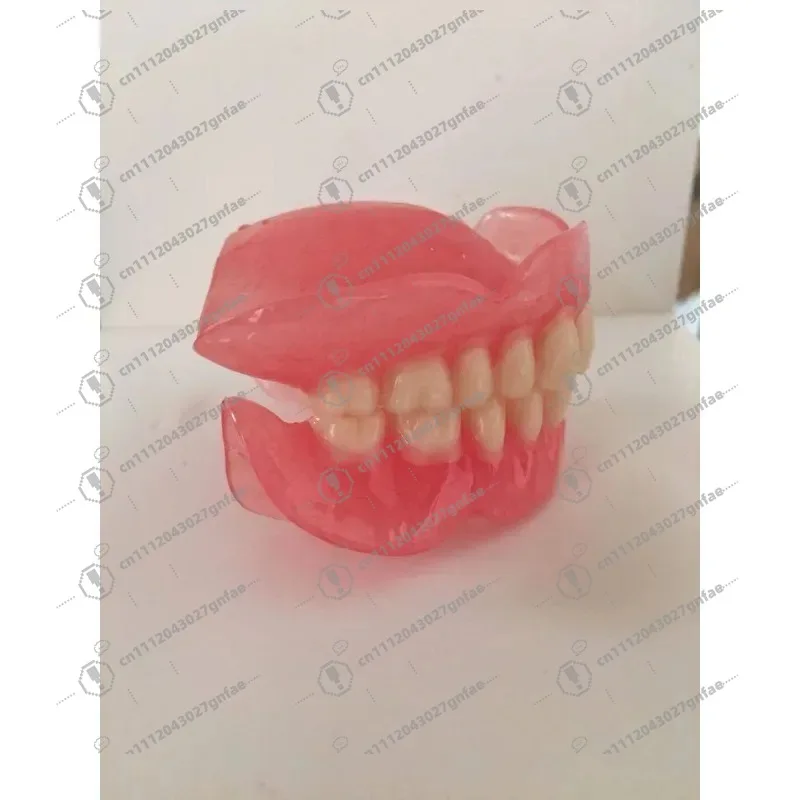Wholesale full mouth denture sample models and elderly full mouth and half mouth tooth models are available image 4