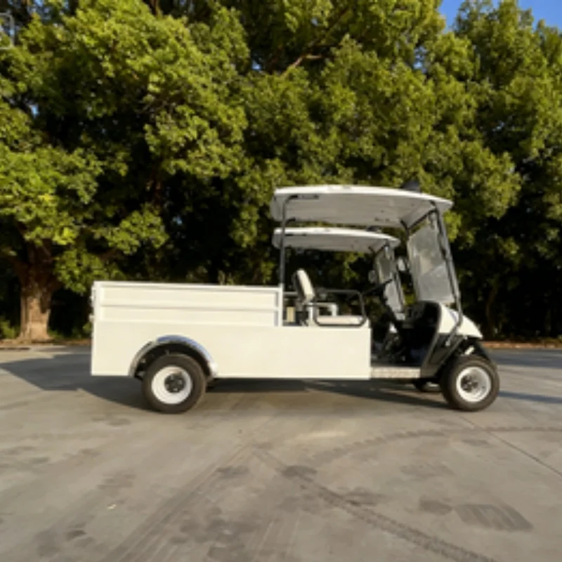 رائجة البيع بطارية ليثيوم الكبار سكوتر على الطرق الوعرة شاطئ عربة جولف كهربائية عربات التي تجرها الدواب مع صندوق البضائع الخلفية عربة البضائع القابلة للتحويل