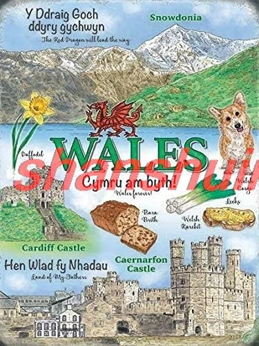 Vintage Style Wales Landmarks Snowdonia Cardiff Caernarfon Castle Home Wall Decor Metal Tin Sign 12x8inch for Home Kitch ALIMAO