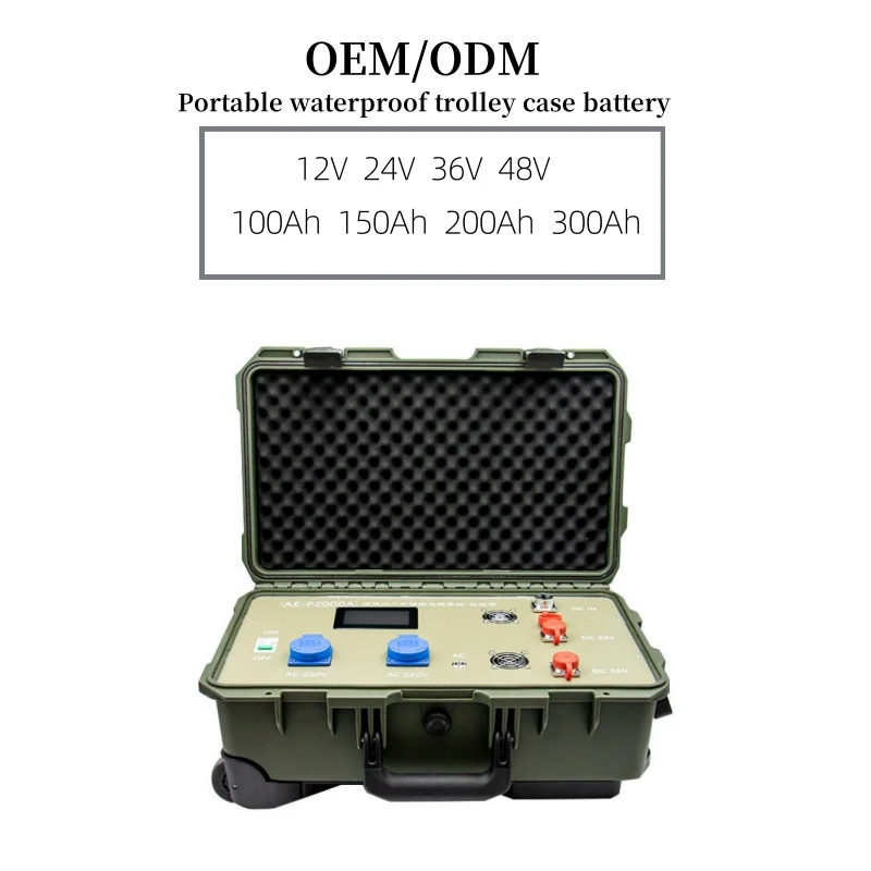 Custom Large Trolley Tool Case L208 Outdoor Waterproof ABS Plastic Cases Storage Lithium Battery