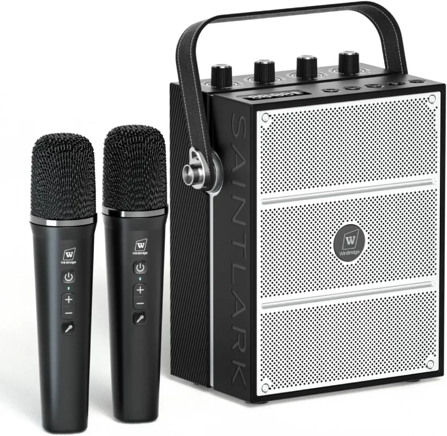 

100W Powerful Voice Amplifier with 2 Wireless Microphones, Big Pro Sound Portable Speaker with Microphone, Bluetooth Speaker PA