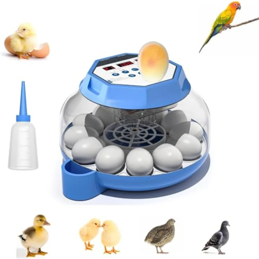 

Автоматический инкубатор для яиц с функцией переворота и контролем влажности, вместимость 12-24 яйца, 360° вращение ° Прозрачный верхний люк для инкубатора для птицы (кур) Duc