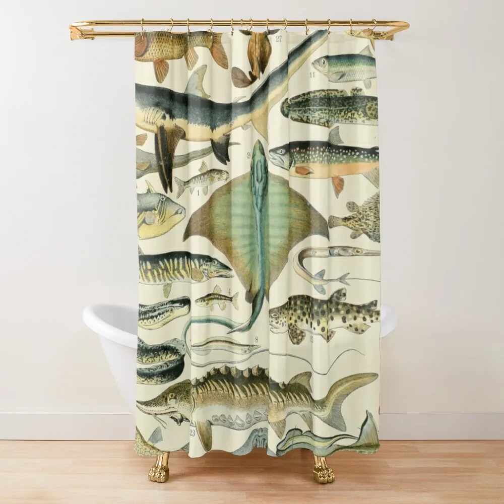

Poissons B - Adolphe Millot Shower Curtain Washable Waterproof Fabric Shower Luxury Bathroom Bathroom Accessorys Curtain
