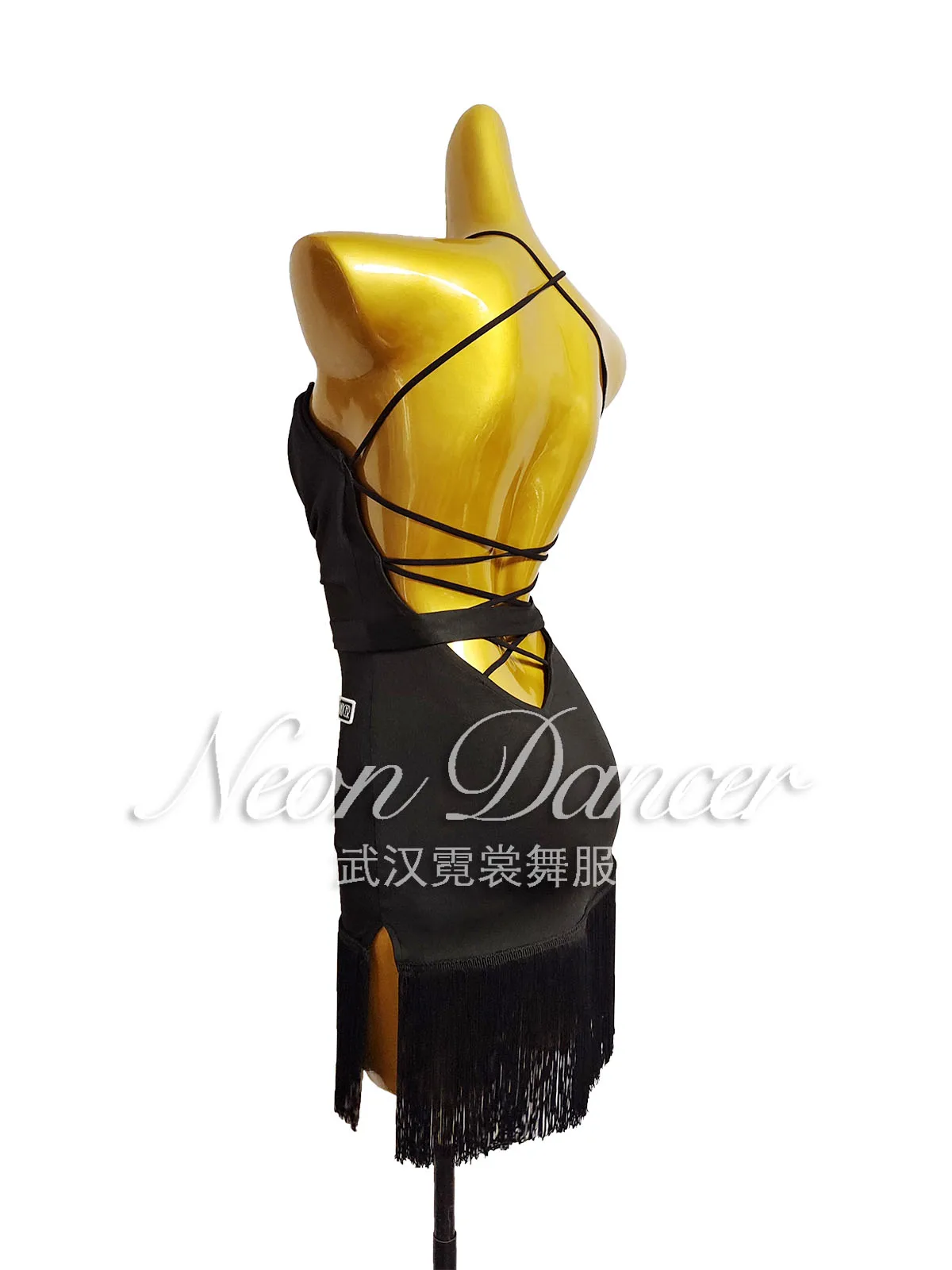 Neon Dancer New Women\'s Latin Dance Outfit, Swing-Neck Tassel Dress, Backless Practice Outfit