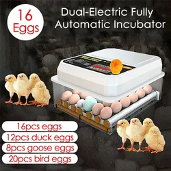 Farm Poultry Fully Automatic Turning Egg Incubator Dual-Electric Mini Household Brooder for Chicken Goose Duck Bird 16 Eggs 220V