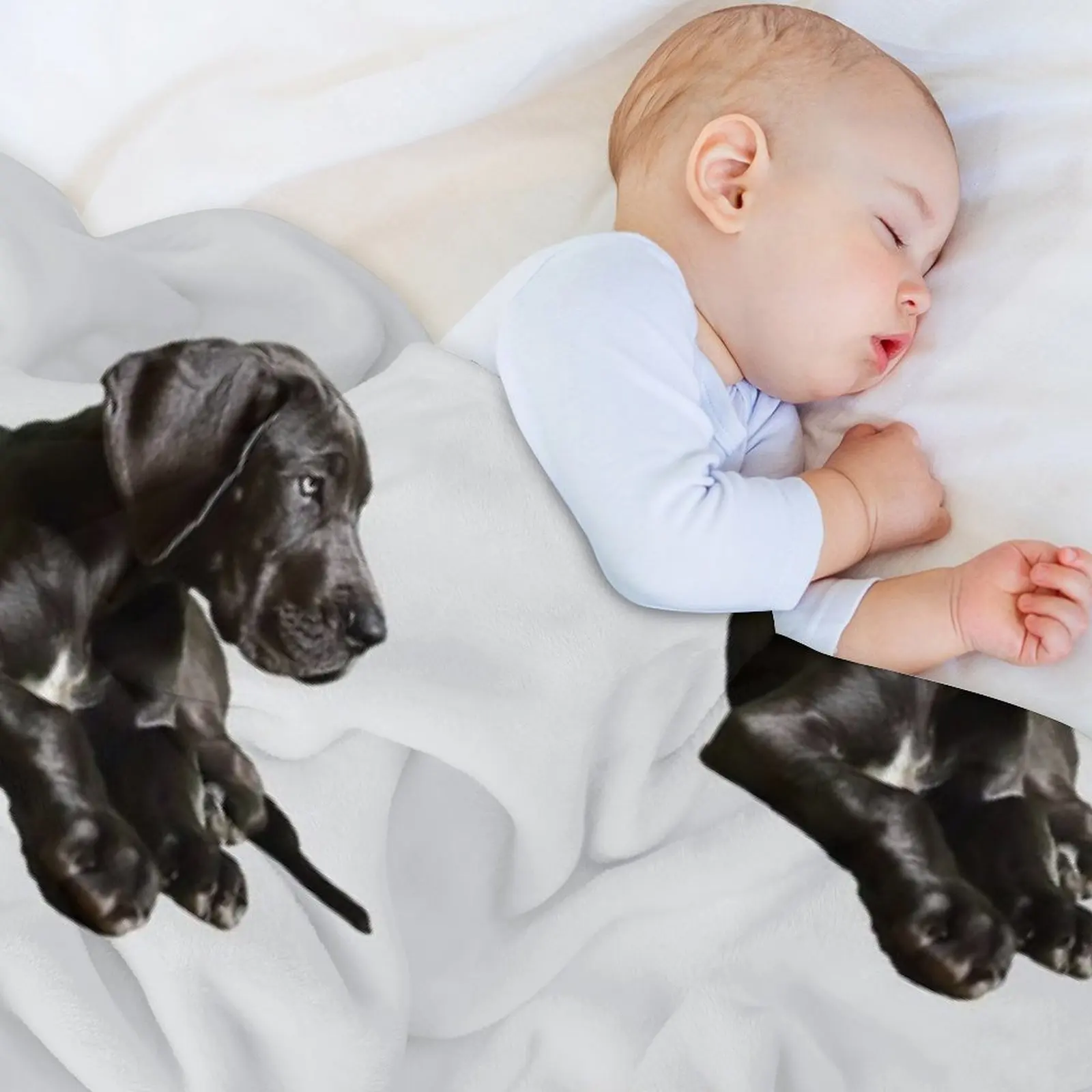 بلاك جريت داني - جمال رائع! رمي بطانية سرير مزخرفة، بطانيات مصممي الأريكة المزخرفة والبطانيات #5