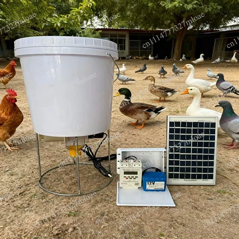 Intelligent Timed Feeding Pigeon Chicken Duck Electric Chicken Feeding Artifact Poultry Automatic Feeder Feeder