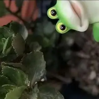 

Miniature Frog Figurine Plant Hanger Decorations Outdoor Garden Statue Women Gifts Planter Pot Hugger