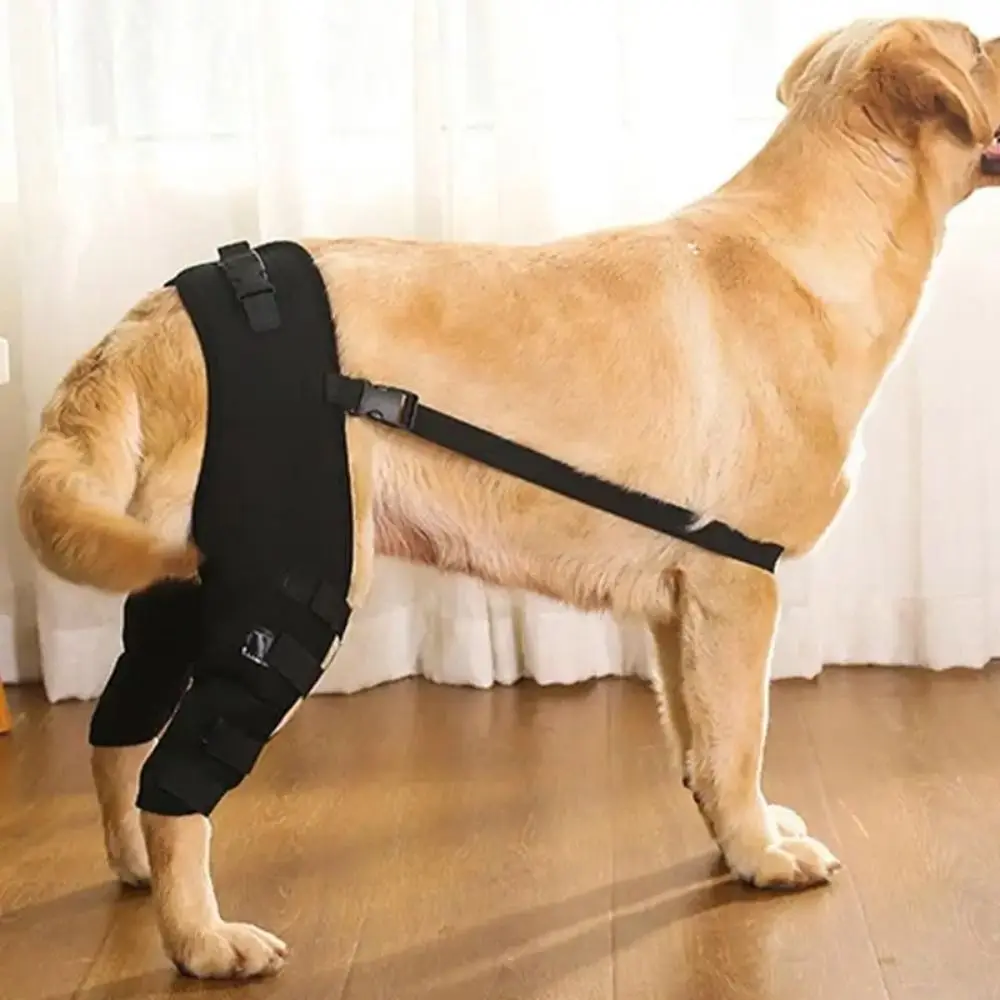 Convenient Joint Injury Recovery Pet Knee Pad Knee Hip Joint Protect 4Size Brace Wrap Belt Cloth Torn Hind Leg Support Belt Dog