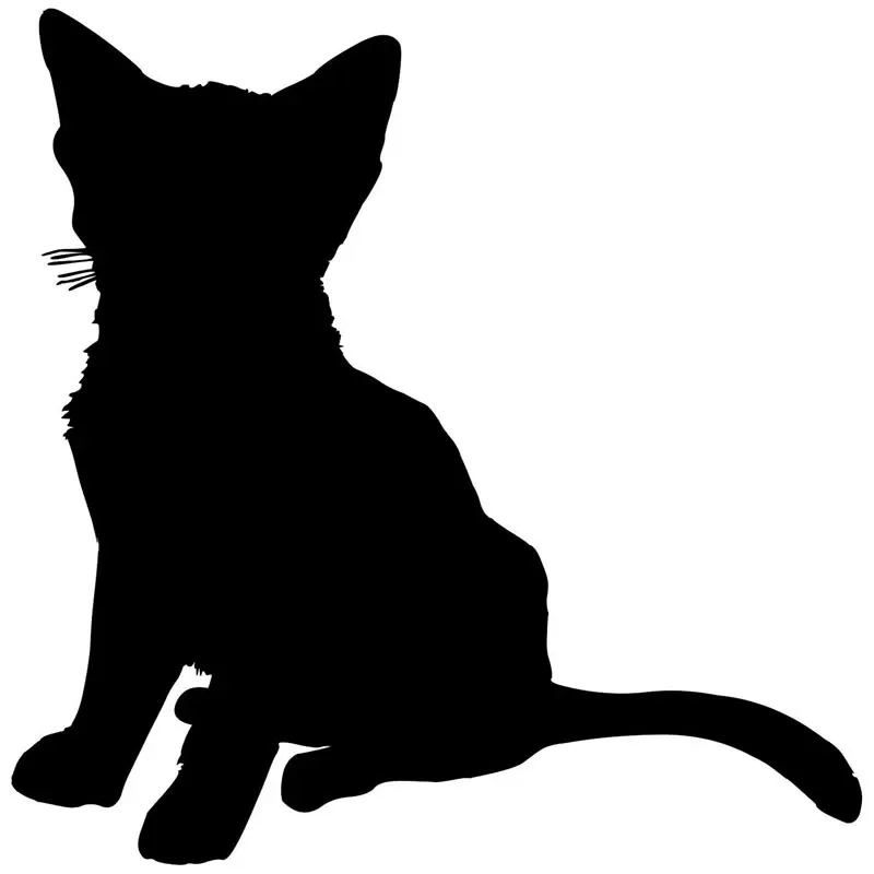 

Car Sticker Sitting Cat Cute Animal PVC Car Decoration Accessories Sticker Creative Waterproof Sunscreen Black/white,14cm*14cm