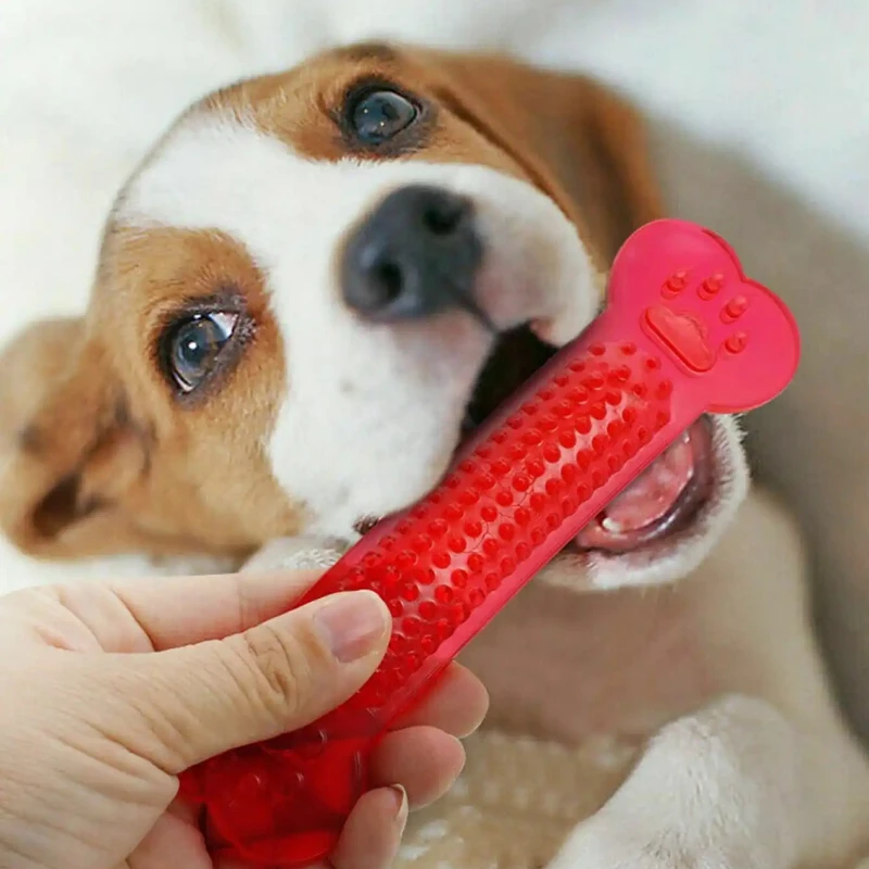 Thumbnail 3 - #50 Best Puppy Toys to Buy In 2026