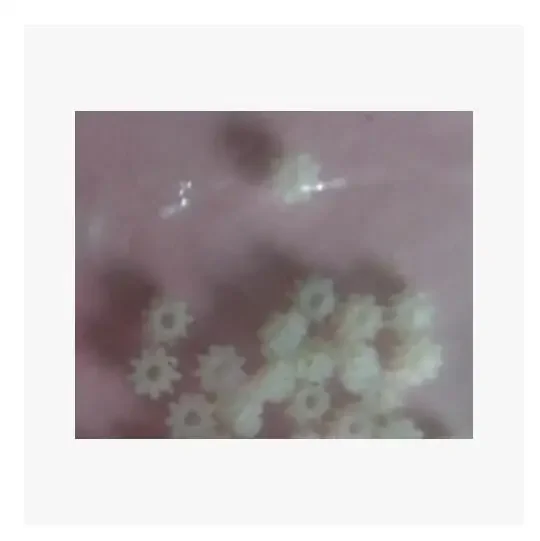 2PCS New Lens Apert…