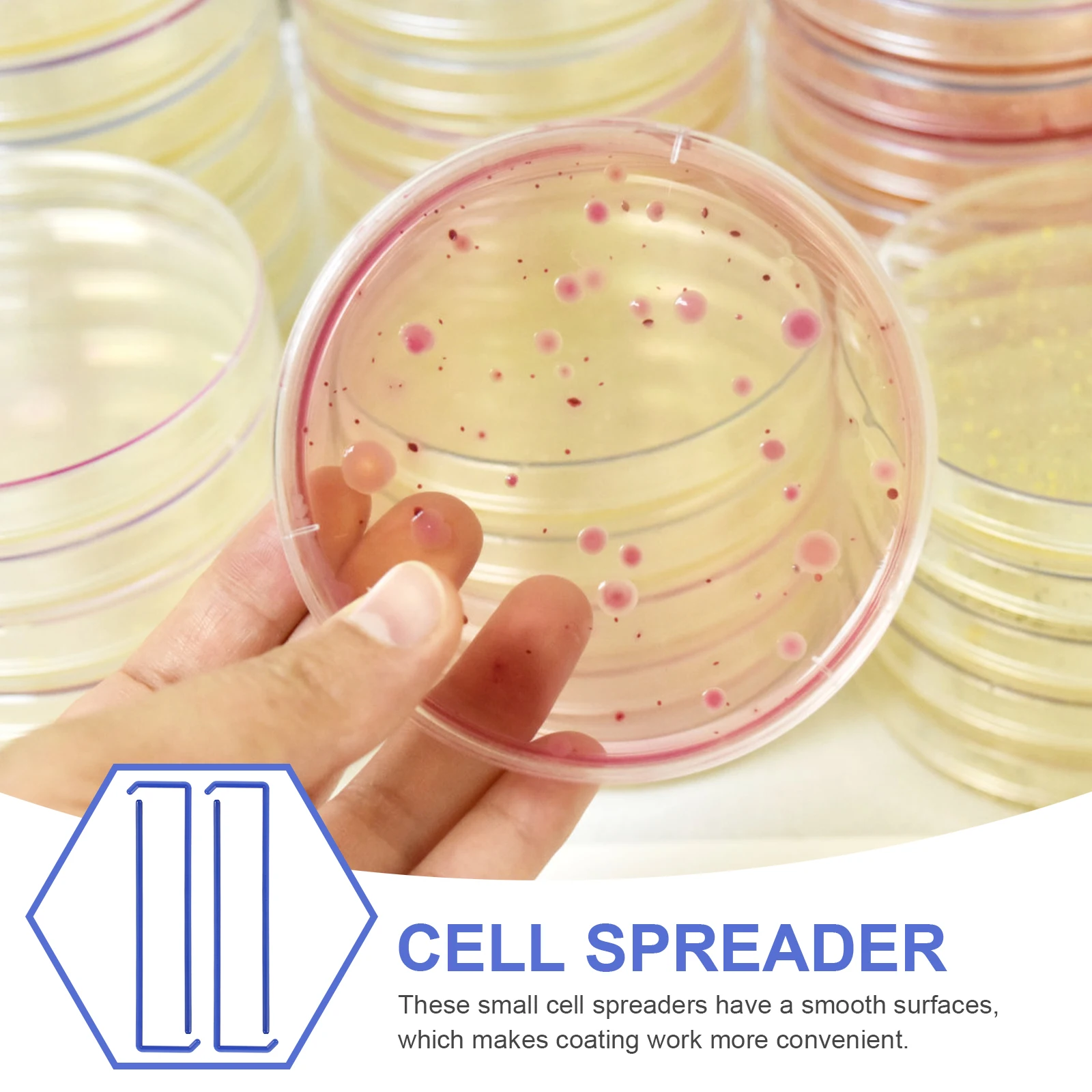 

20 Pcs Coating Rod Experiment Tool Cell Spreading Spreaders Petri Dish Epoxy Abs Laboratory