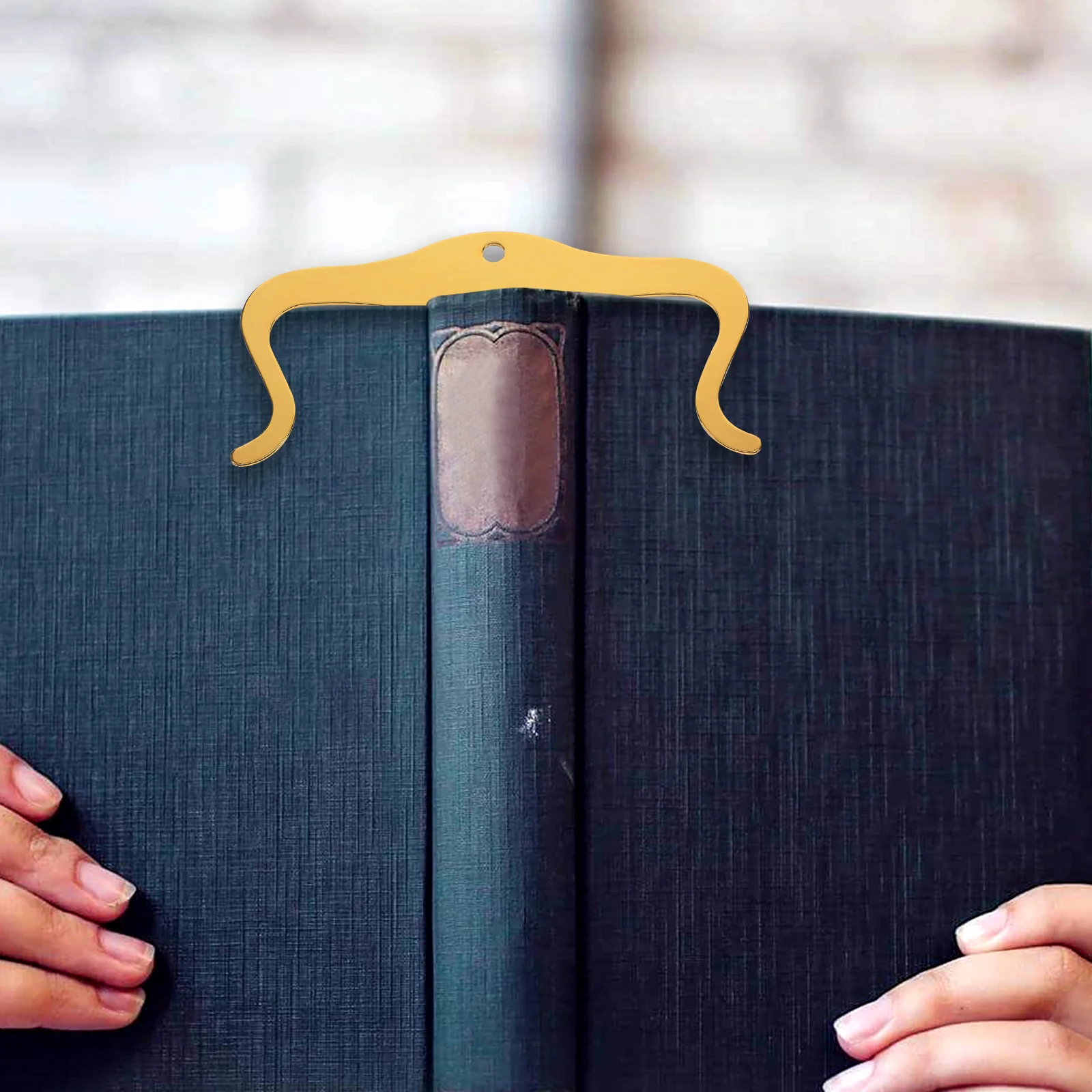 

2Pcs Premium Sheet Music Clip Solid Metal Page Holder for Music Books and Scores Long Wearable Design Ideal Musicians Gift Idea