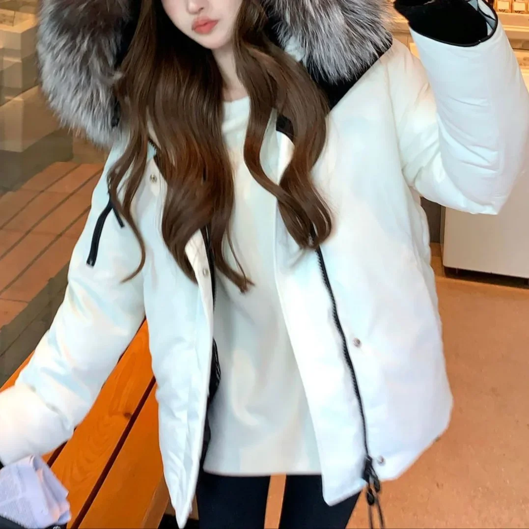 معطف نسائي بقصة عادية وسحاب للإغلاق، جاكيت قطني قصير، معطف بياقة من الفرو، مادة الشنيل الثلجية من ألياف البوليستر