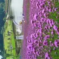 

3.0Ah For Makita BL1813G Li-ion 18V Power Tools Battery BL1811G BL1815G BL1820G BL1813G BL1811G 195608-4