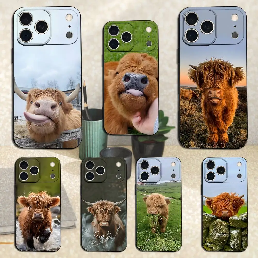 

Highland Cow Cute Animal Phone Case For iPhone 17,16,15,14,13,12,11 Plus,Pro Max,XS,X,XR,SE,Mini,8,7,Soft Silicone Black Cover