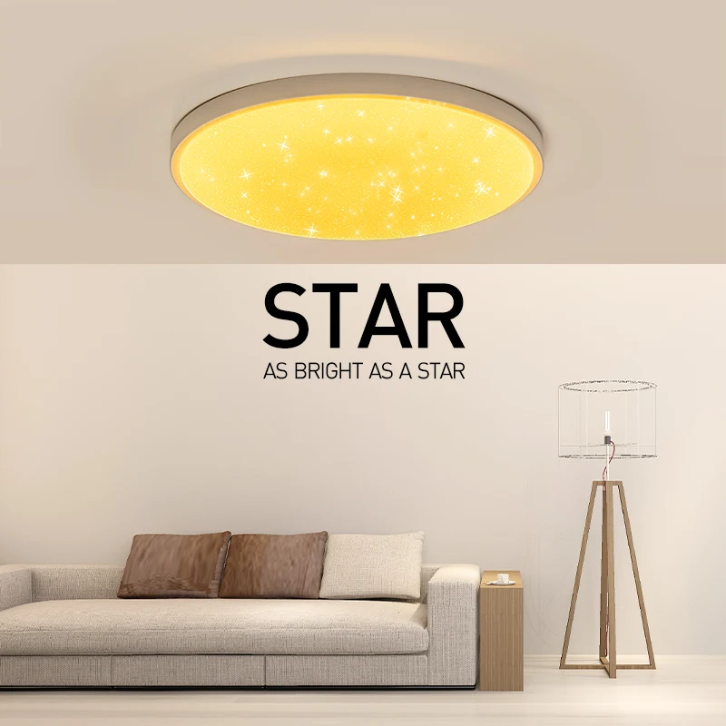 

3 Color Temp 20inch LED Modern Starry Sky Ceiling Lamps Star Lampshade Fixtures Living Room Bedroom Indoor Lighting 24 28 38 48W