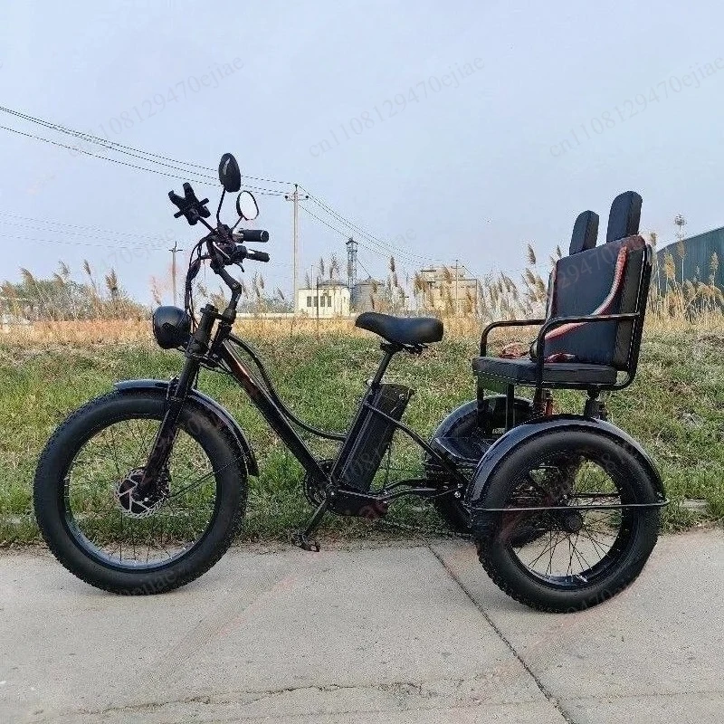 20 Inch Electric Tricycle | Pedal Assist Moped Trike | All-Terrain Cargo Basket Bike | Variable Speed E-Bike
