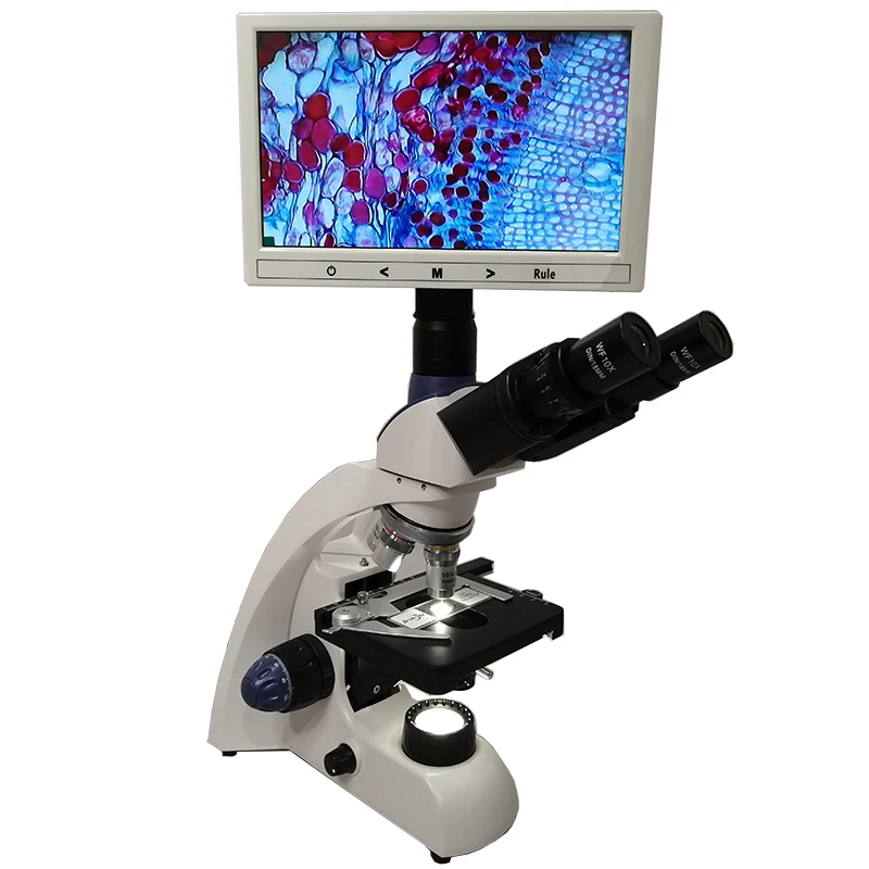 China LED light  video biological microscope with lcd screen