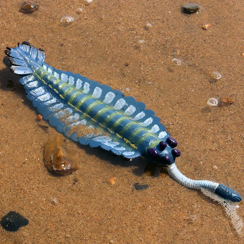 Mô Phỏng Thời Tiền Sử Động Vật Biển Opabinia Trơn Tôm Hùm Anomalocaris Nhân Vật Hành Động Dương Tượng Hình Giáo Dục Đồ Chơi Quà Tặng