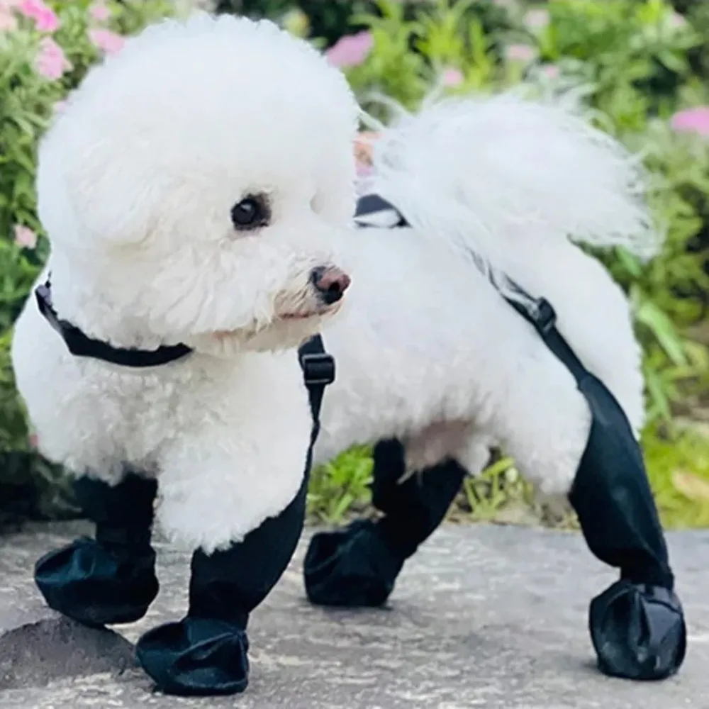 

Adjustable Reflective Dog Shoes All-Season Rubber Sole Waterproof Dog Boots Slip-Resistant Dog Paw Protector French Bulldog
