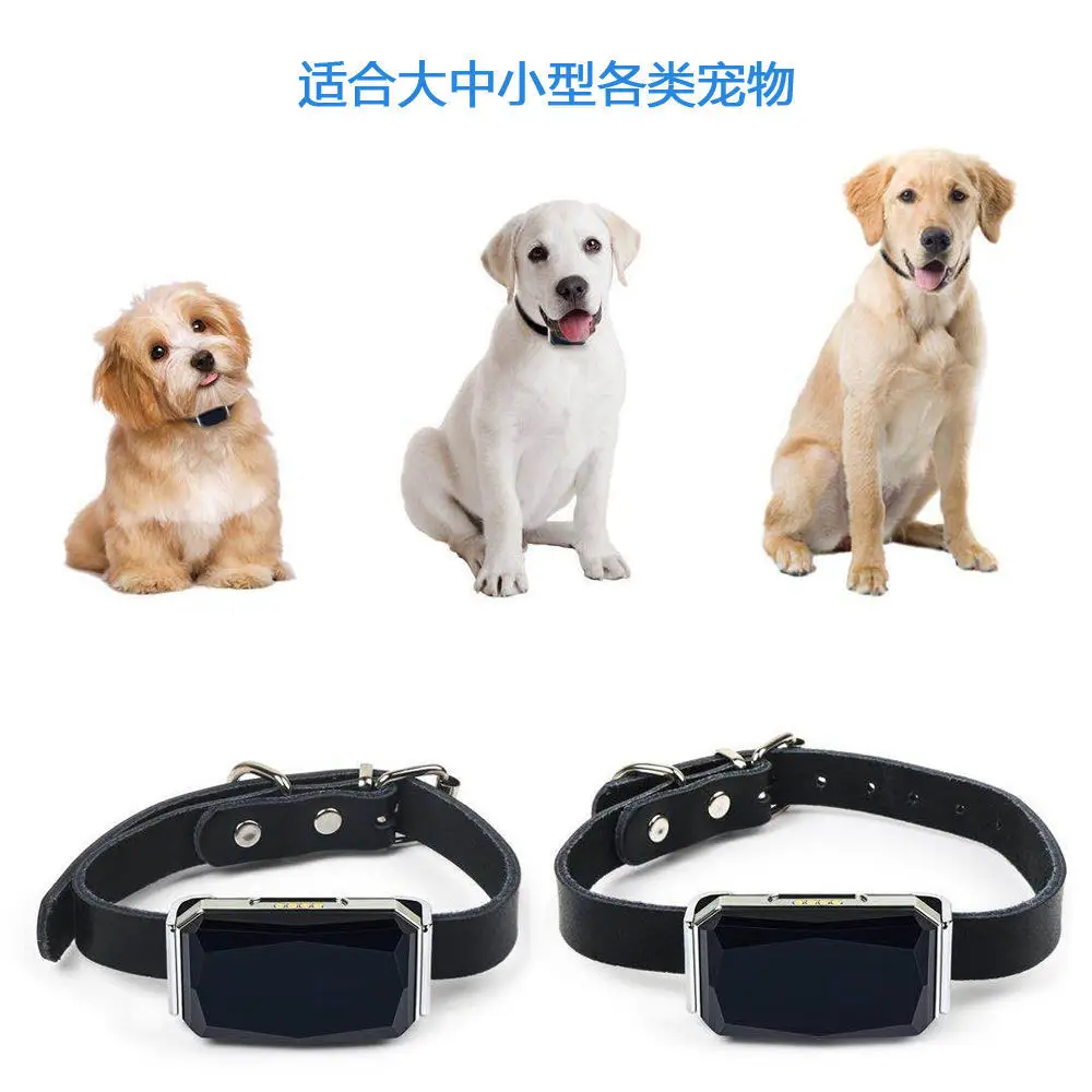 New chip waterproof mini pet GPS AGPS LBS Wifi tracker real-time tracking collar dog cat search device ringtone tracking locator