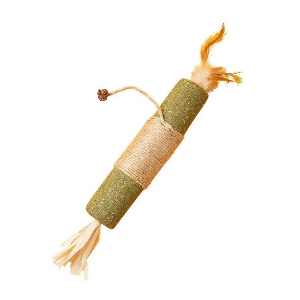 Cat Dental Hygiene Chew Toy Cat Chew Toy for Oral Care Cat Teething Toy Set with Silvervine Sticks Catnip for Indoor for Breeds image 3
