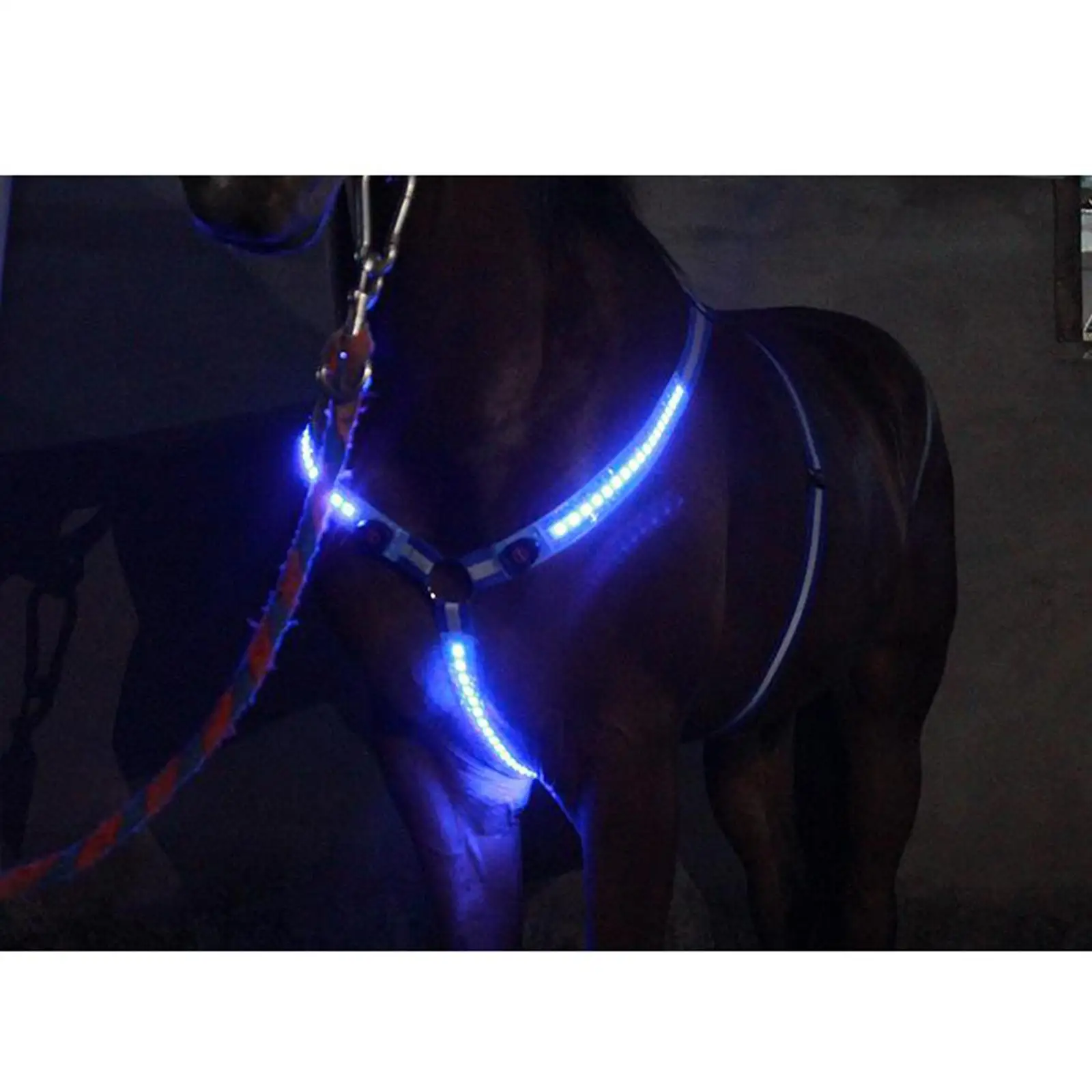 Licou de poitrine de collier de plastron de cheval à LED lumineuse, licou de bride USB SFP