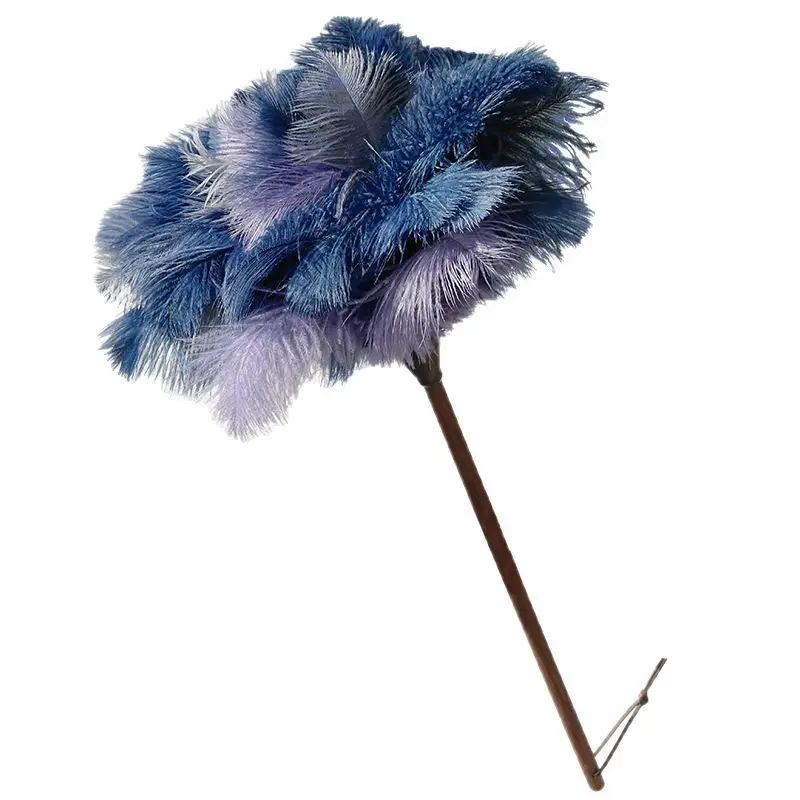 

Dailan cassowary dust duster Household feather duster