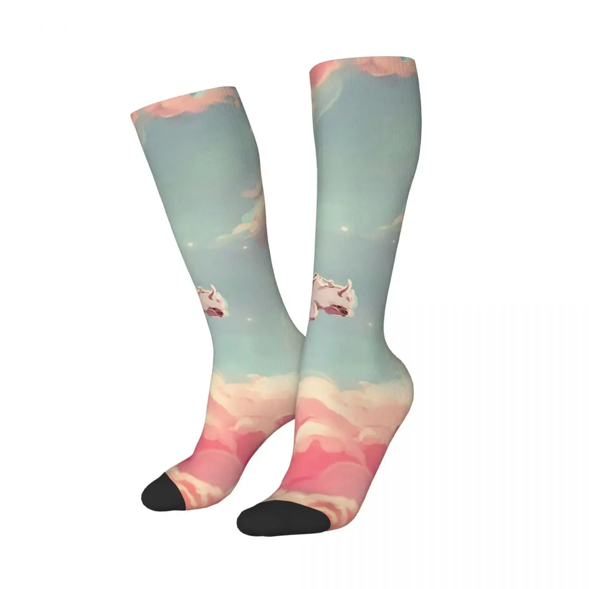 Dreamy Appa Poster V1 Socks Harajuku Super Soft Stockings All Season Long Socks Accessories for Unisex Birthday Present