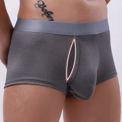 Hot Penis Hole Men Boxers Underwear Sexy Mesh Penis Pouch Male Panties Men U Convex Trunks Boxershorts Gay Lingerie Underpants