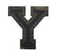 Y