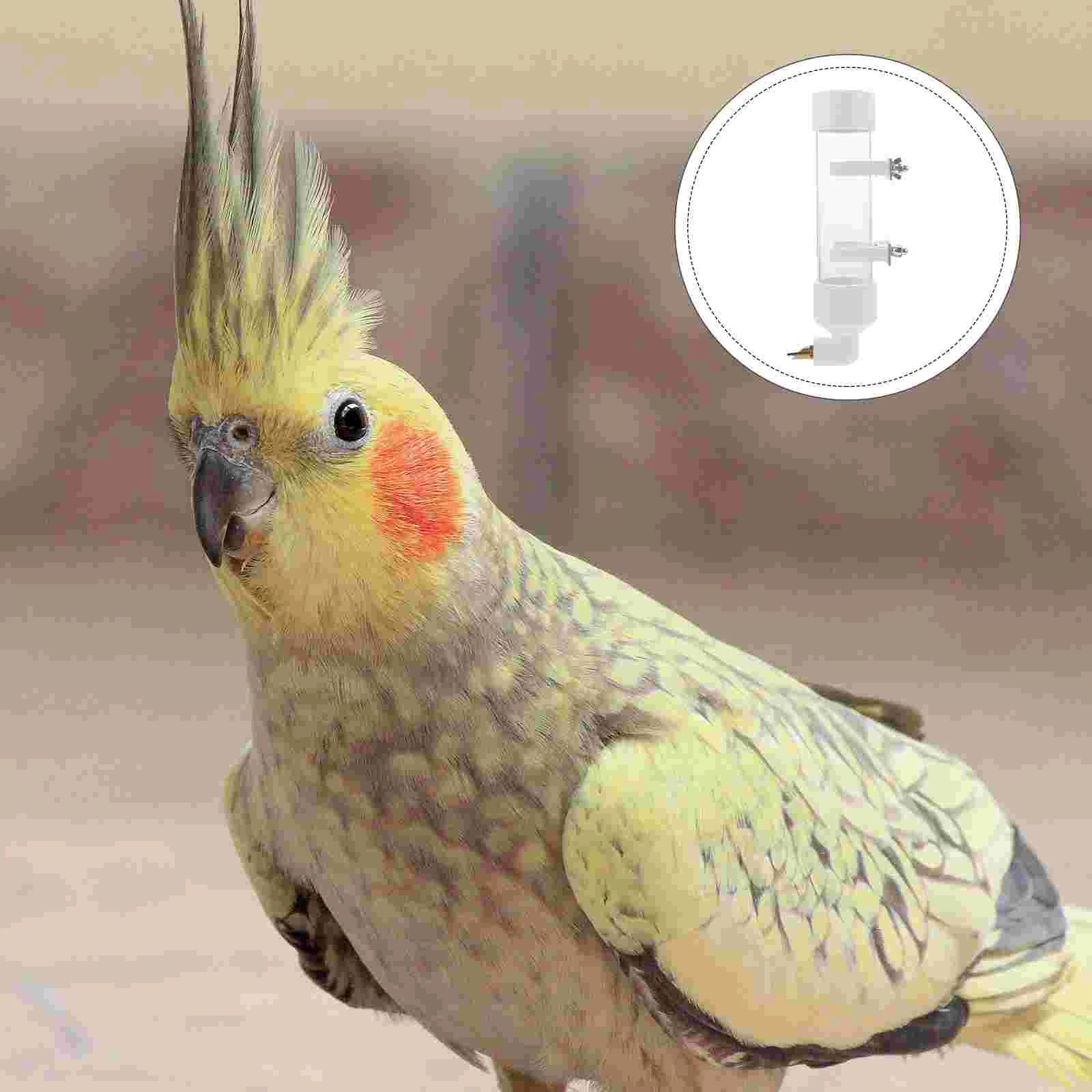 Parrot Drinking Fountain Dove Water Container Drinker Nutrition & Watering Suppliescage Large Dispenser Automatic Plastic