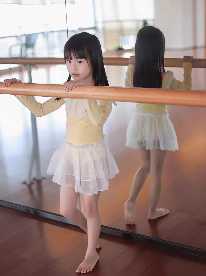 子供ダンス衣装バレエレオタード女の子スカートダンス衣装ステージ衣装プリンセスドレス女の子のためのプロのバレエチュチュ