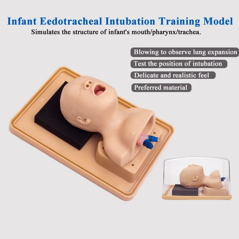 

Tracheal Infarction First Aid Simulator Neonatal Intubation Training Model Baby Care Airway Obstruction CPR Medical Teaching