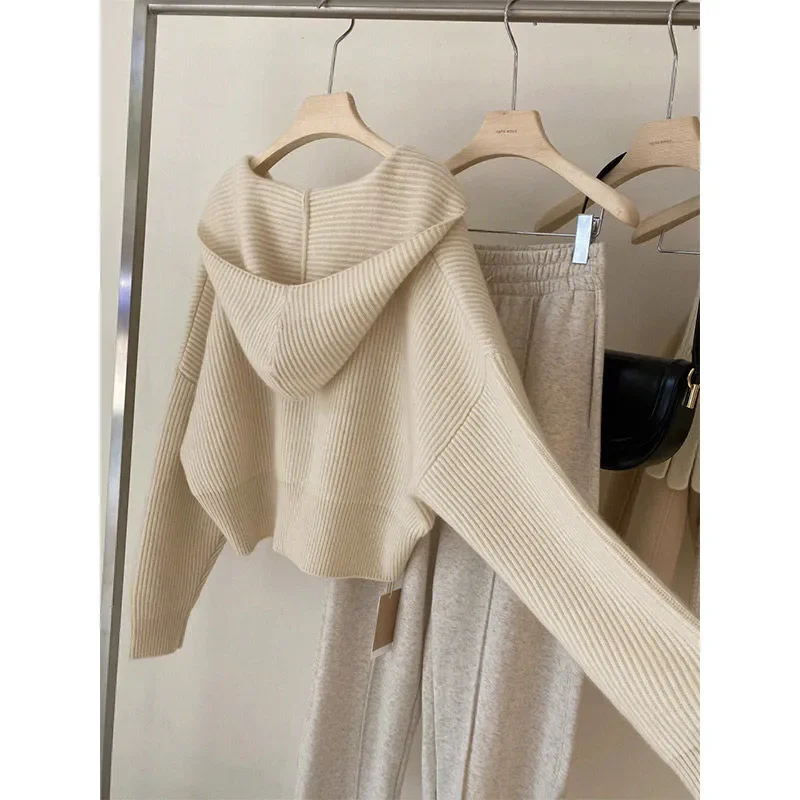 

Lazy Style Hooded Sweater Women's New Popular High-end Soft and Waxy Short Cardigan Jacket