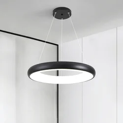 LED ring pendant light Nordic modern minimalist iron hanging lamp living room dining table bar counter bedroom lighting fixtures
