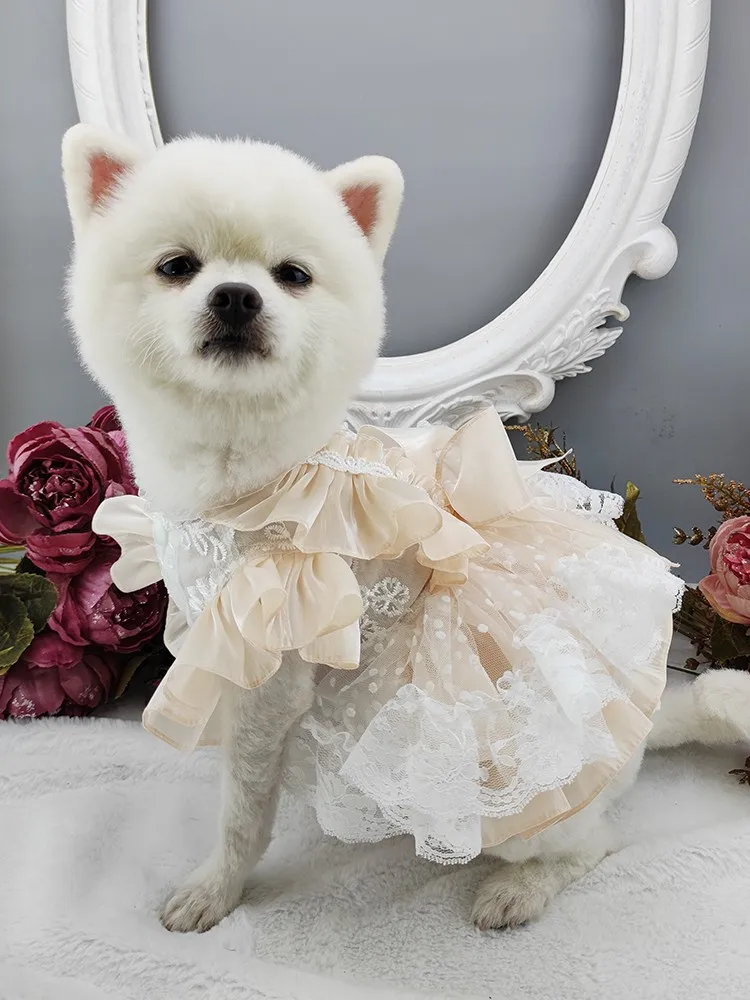 Imagem -05 - Artesanal Roupas para Cães Suprimentos para Animais de Estimação Graciosa Champanhe Rendas Douradas Sexy Senhora Vestido de Lantejoulas Arco nó Acessórios Blusas Uma Peça